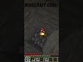 MINECRAFT CORE:#minecraft #polska #gaming #brainrot #memes
