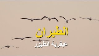 FLIGHT Arabic
