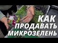 Микрозелень как продавать в рестораны и кафе Зеленый шеф у шеф-повара на кухне