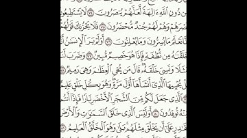 سورة يس 71-83 (٤٤٥)     Sheikh Anas AlHibri