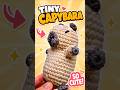 Tiny Capybara in Under 30 Seconds! 🐹✨ #crochet #capybara #viral #shorts