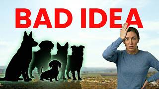 The 5 Worst Dog Breeds For Families