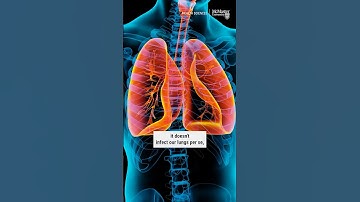 Measles Explained: What you need to know about this highly contagious virus #measlesoutbreak #shorts