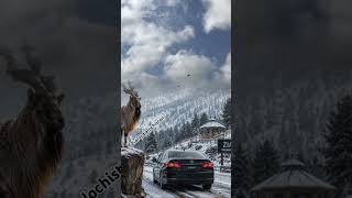 ziarat balochistan