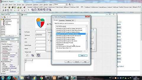 Sistem Input Data Pasien ( Delphi )