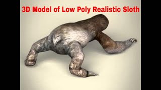 3D Model of Low Poly Realistic Sloth Review