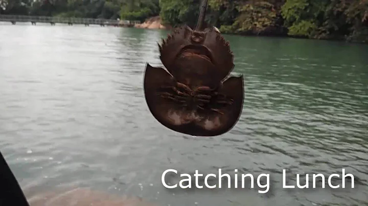 UBIN (vlog#1)
