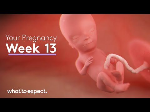 13 Weeks Pregnant - What to Expect