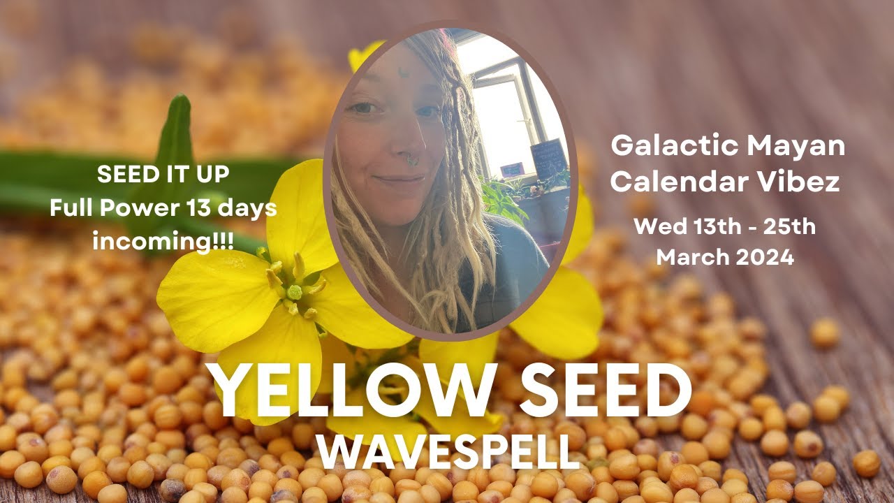 THE OTHER MEGA WAVESPELL Yellow Seed 13th 25th March 2024 the-other-mega-wavespell-yellow-seed-13th-25th-march-2024