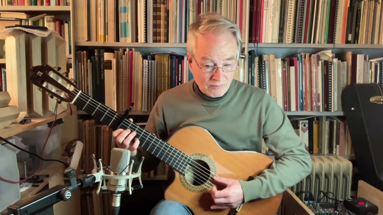 Bird of Paradise - Snowy White (Fingerstyle cover)