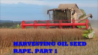 HARVESTING OIL SEED RAPE. PART 1 COMBINING