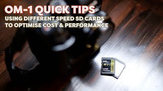 OM-1 Quick Tips: Splitting SD Card Usage for Speed and Affordability