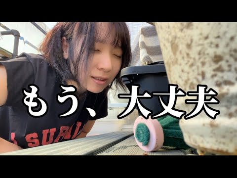 もっと早くやればよかった…！これでメダカたちの飼育環境がガラリと変わる|アクアリウム|飼育|めだか