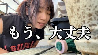もっと早くやればよかった…！これでメダカたちの飼育環境がガラリと変わる|アクアリウム|飼育|めだか