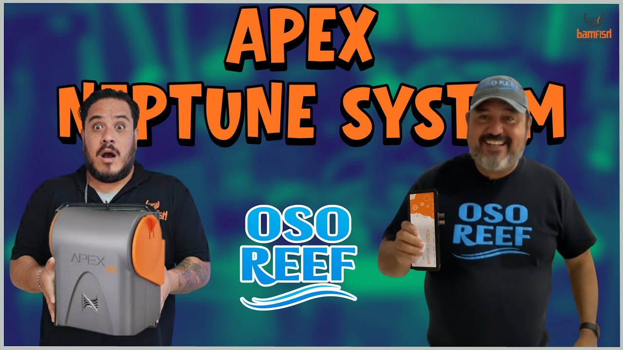 Hoy ANALIZAMOS el APEX NEPTUNE SYSTEM | OSO REEF
