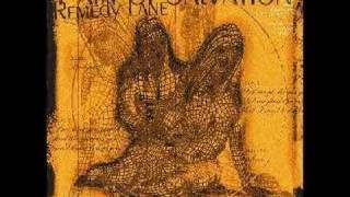 Pain Of Salvation  Beyond The Pale