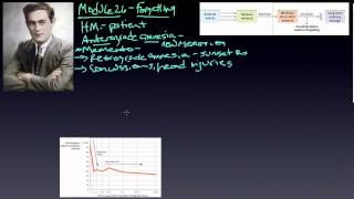 module 26.1 amnesia storage decay.mp4