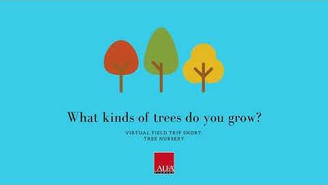 Virtual Field Trip - Nursery - What kinds of trees do you grow?