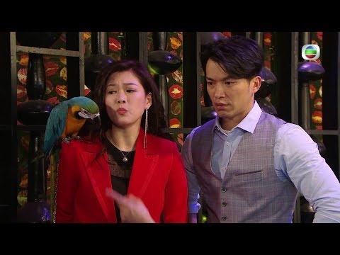 愛．回家之開心速遞 | 第811集預告 | 醉爆廢柴同盟 | 許家傑 | 歐瑞偉