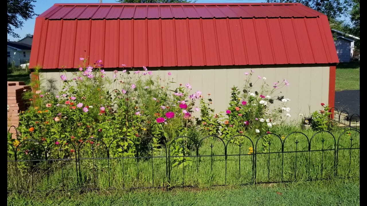 Relaxing with my flowers, bees, and butterflies! 