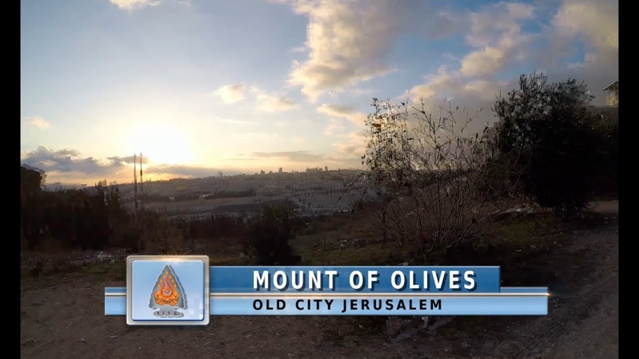 "The Mount of Olives" - A Sacred Mountain of Judea
