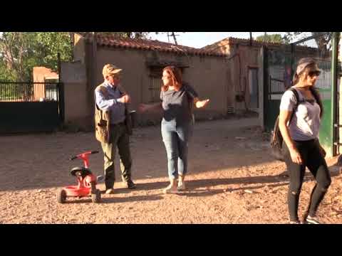 vice movie Animalistes protesten a una granja de Manresa pel mal estat del gossos