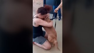 Reunited with her lost dog after 2 years