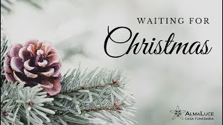"Waiting for Christmas" Un augurio di speranza da AlmaLuce Casa Funeraria. Prima Parte
