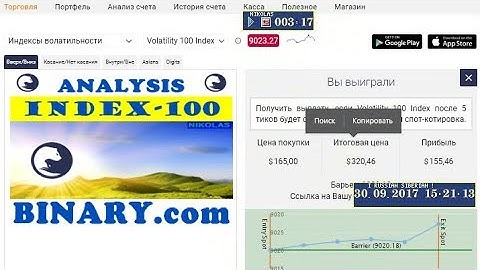 Analysis Index.-100 Binary.com