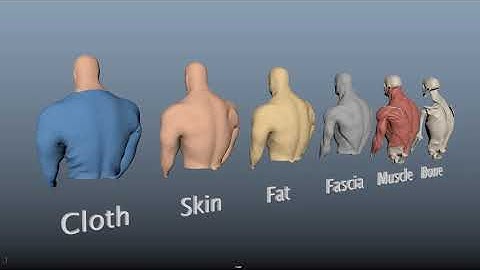 Ziva VfX : Creature FEM Test