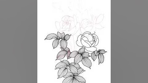 Roses tattoo sketch on ipad pro with procreate app