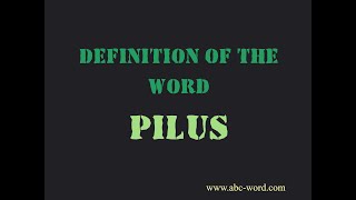 Definition of the word "Pilus"