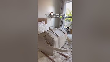 Out with the Old Cat Carrier, In with the New | Upgrade Your Kitty