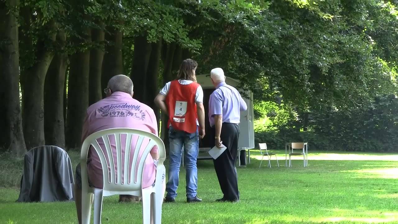 Diesel PH1 Certification KNPV (Royal Dutch Police Dog Association)