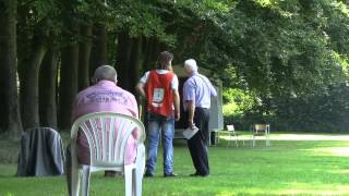 Diesel PH1 Certification KNPV (Royal Dutch Police Dog Association)
