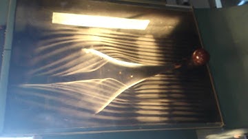 Flow over a delta wing