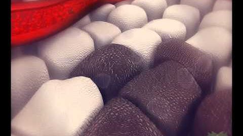 Antioxidants - vs - Free Radicals - Immune System