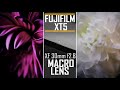 Up Close and Personal - The Fujifilm XF 30mm f/2.8 Macro Lens