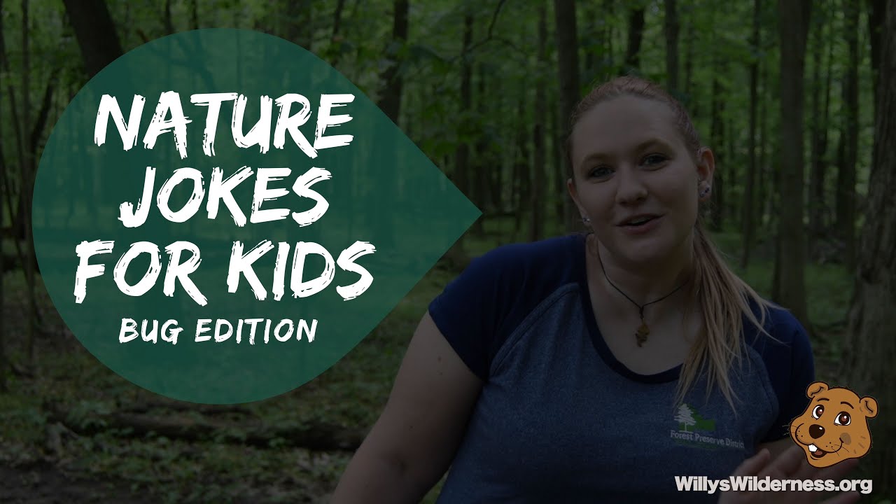 Nature Jokes for Kids: Bug Edition