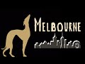 SHADOW THEATRE Verba in Australia | opening The Nationals 2023 Greyhound racing 🦮🏃🏼‍♂️ in Melbourne