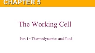 Chapter 5 Part 1 Thermodynamics and Food screenshot 5