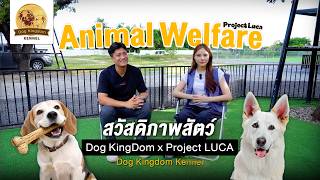 Ep.88 DogKingdom x Project Luca | What a Dog Scientist Discovered Will Surprise You
