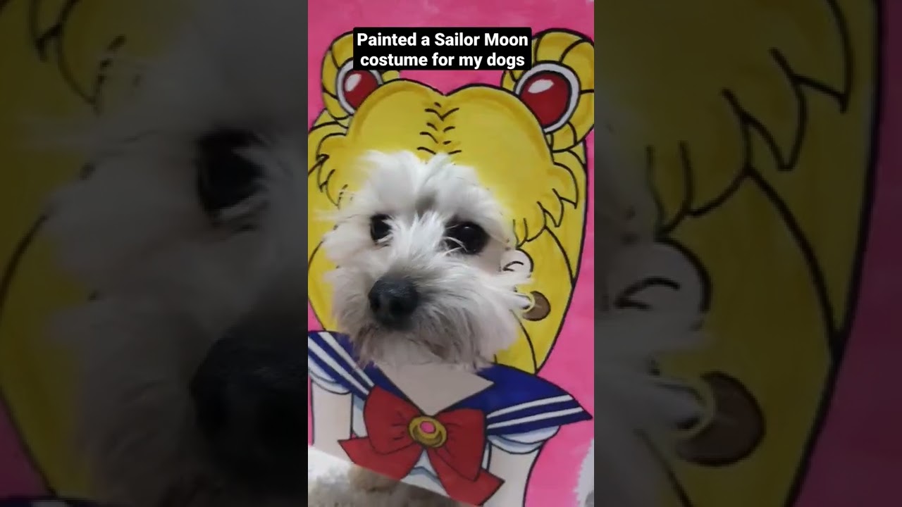 sailor moon dog costume