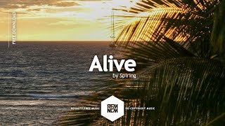 Alive - Spiring | Royalty Free Music | RFM - NCM | No Copyright Music | Chill Music | Tropical Music