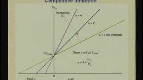 Lecture - 9 Enzymes III