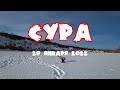 Сура 29 января 2022