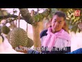 果王猫山王记录片 Sunshine Kingdom Musang King Durian Documentary (2018)