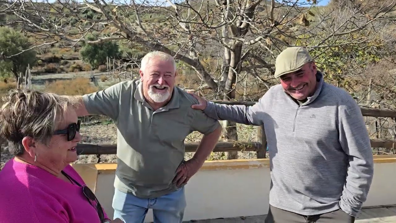 Mañana de Domingo TLF 667 78 68 63