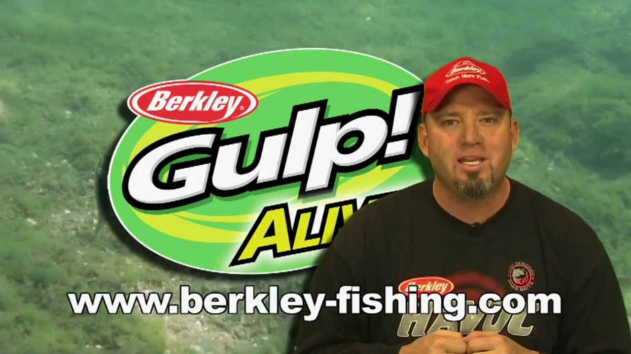 Walleye Fishing with GULP ALIVE! (IT WORKS) 