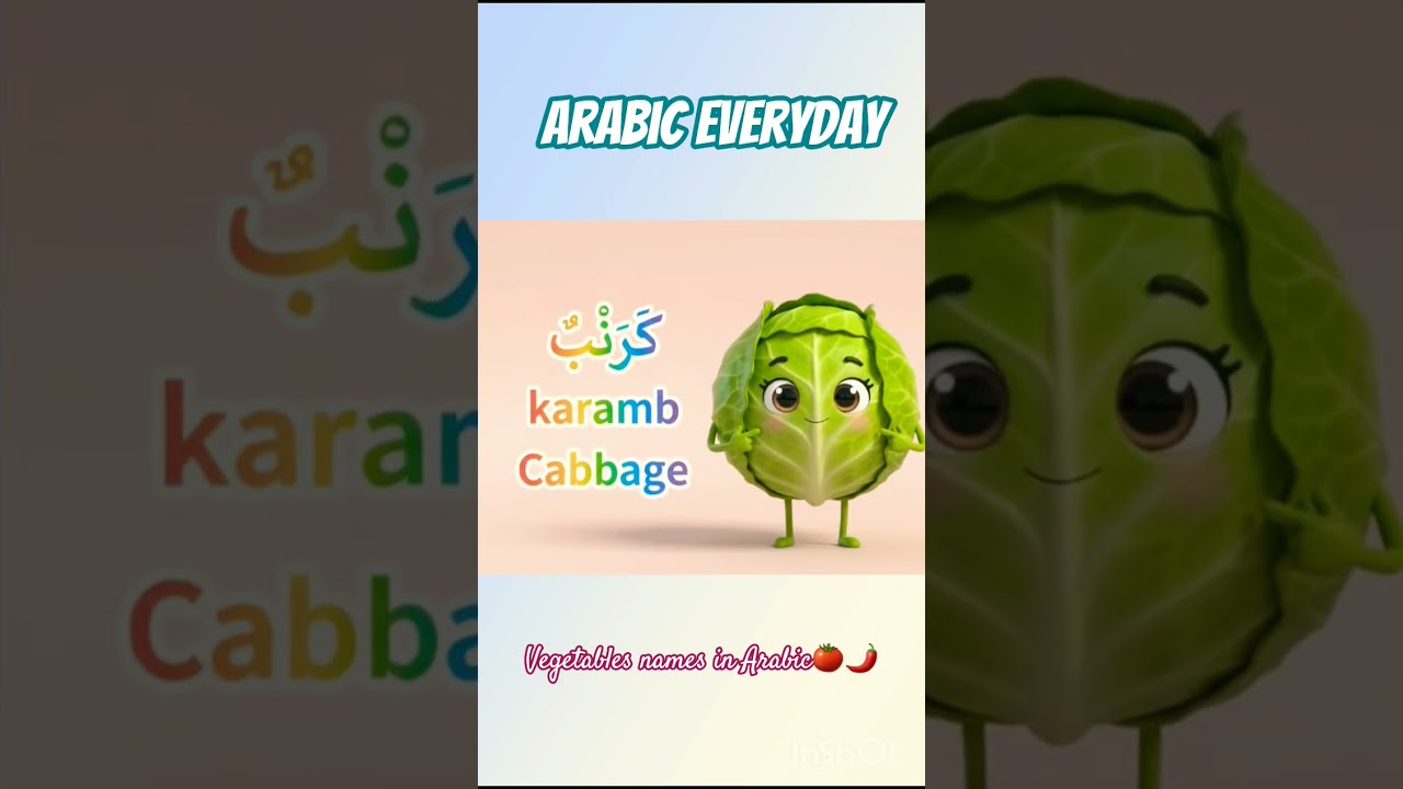 ✨️🍄 learn Arabic with Arabic Everyday! #learnarabic #arabiceveryday #trending #learning #shorts